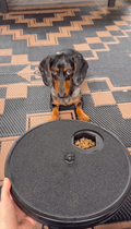 KomorePets Dog Nail Grinding Treat Board